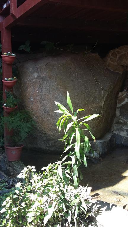 Pousada Mae Natureza Ilha Grande Ngoại thất bức ảnh